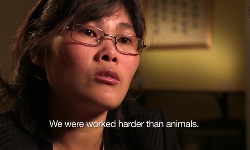 络活喜的功能主治-络活喜功能主治网—知名的络活喜是啥药网站,分享络活喜用法及用量知识