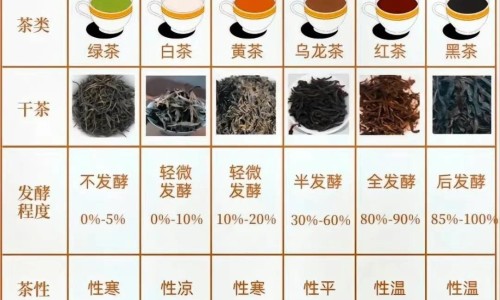 络活喜能治疗什么病-络活喜功能主治网—知名的络活喜是啥药网站,分享络活喜用法及用量知识