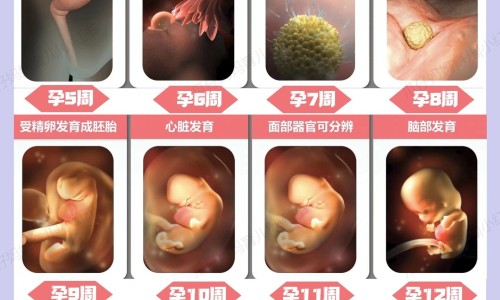 络活喜功能主治网—知名的络活喜是啥药网站,分享络活喜用法及用量知识